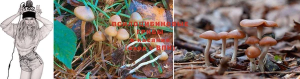 круглые Наволоки