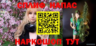 дмт Донской