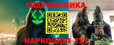 прущие крисы Гусь-Хрустальный