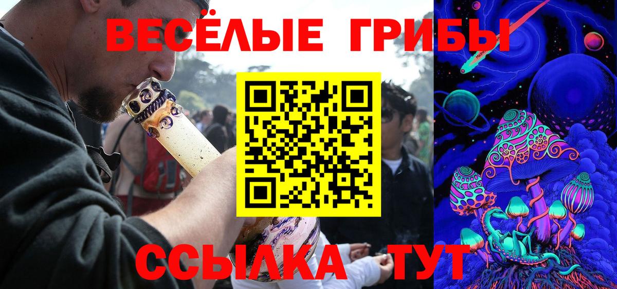 Псилоцибиновые грибы Cubensis Касимов