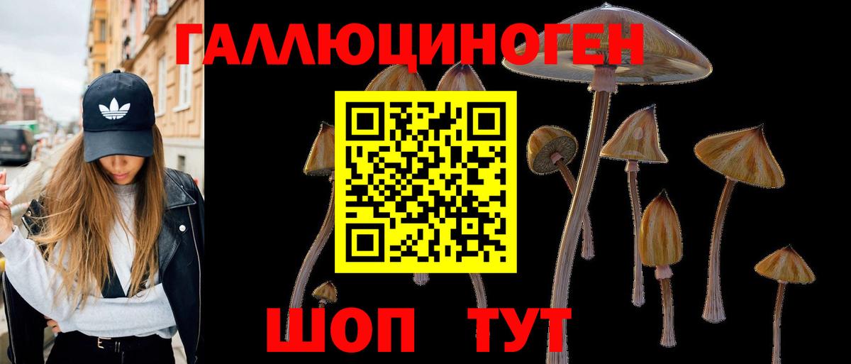 Касимов  Псилоцибиновые грибы мицелий  Псилоцибиновые грибы MAGIC MUSHROOMS  Вход с VPN 
